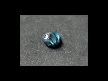 Перламутр или Раковина  (органика) (Shell)