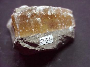 Селенит  (разн. гипса) (Selenite, Salin Spar)