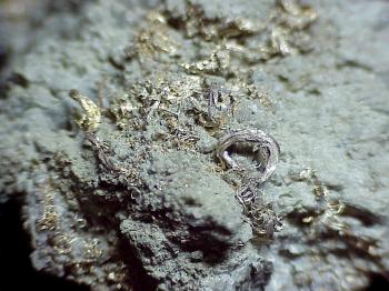 Серебро самородное (Native Silver)