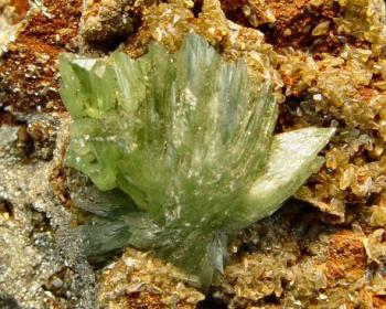 Лудламит (Ludlamite)