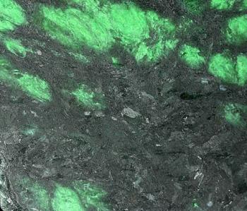 Мау-сит-сит или Мо-сит-сит  (порода) (Maw Sit Sit,  Mawsitsit)