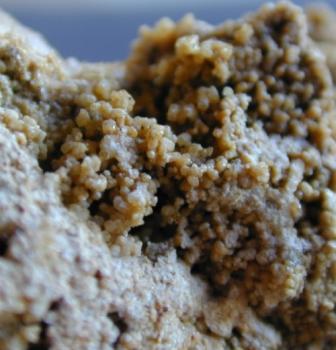 Виллемит (Willemite)