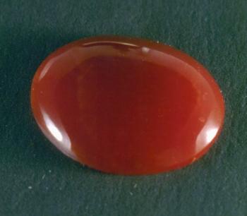 Коралл  (органика) (Coral)